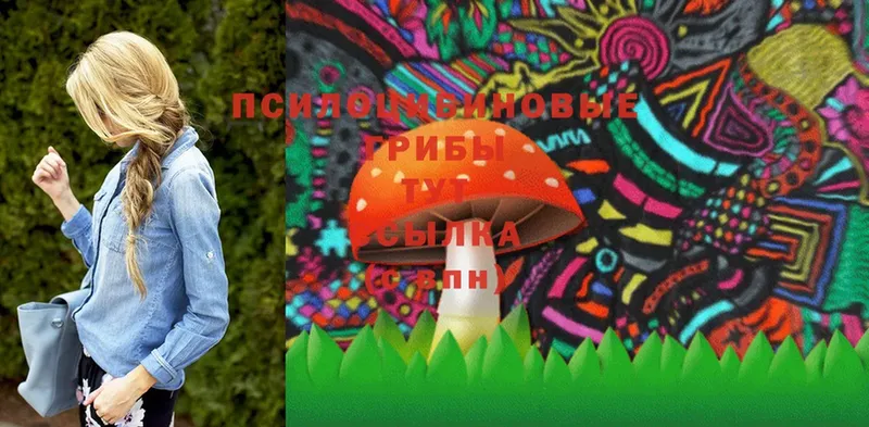 цена наркотик  мега ссылка  Псилоцибиновые грибы Psilocybine cubensis  Борзя 